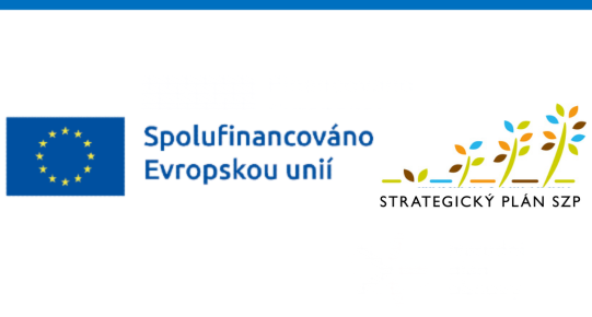Logo EU